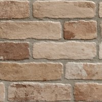 Wall Brick Old Cotto