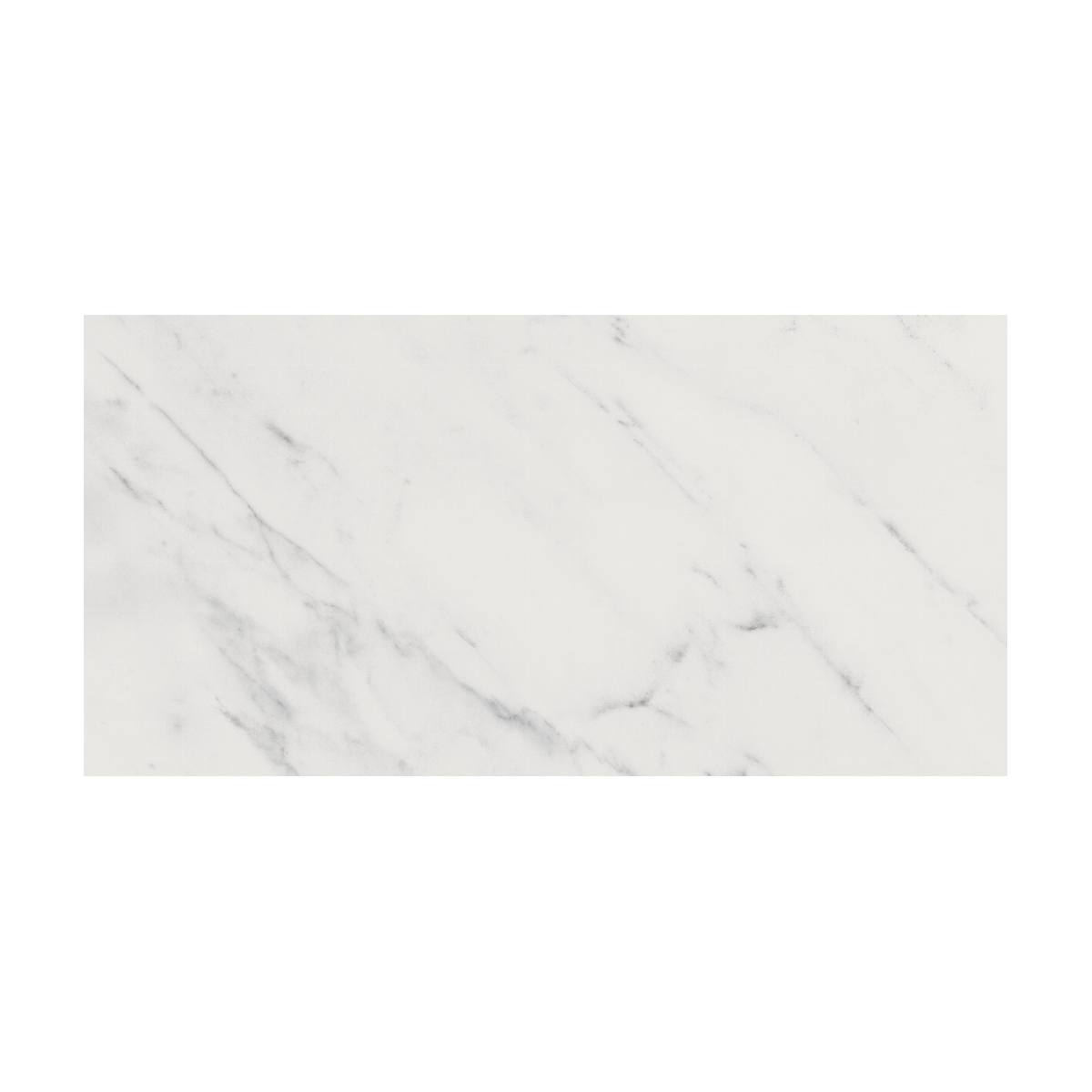 Evoque Blanco Brillo