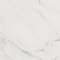 Evoque Blanco Brillo